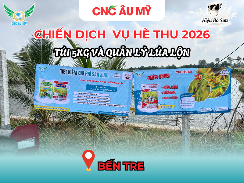 CHIẾN DỊCH BANNER QUẢN LÝ LÚA LỘN & TÚI 5KG VỤ HÈ THU 2026