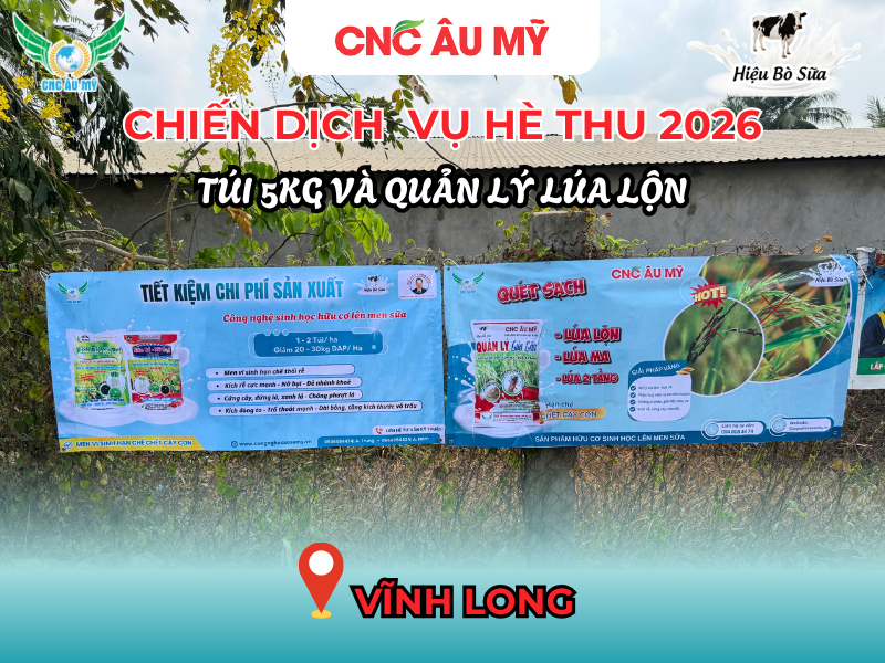 CHIẾN DỊCH BANNER QUẢN LÝ LÚA LỘN & TÚI 5KG VỤ HÈ THU 2026
