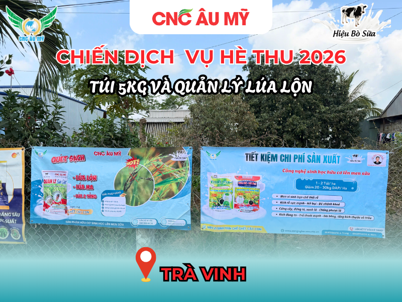 CHIẾN DỊCH BANNER QUẢN LÝ LÚA LỘN & TÚI 5KG VỤ HÈ THU 2026