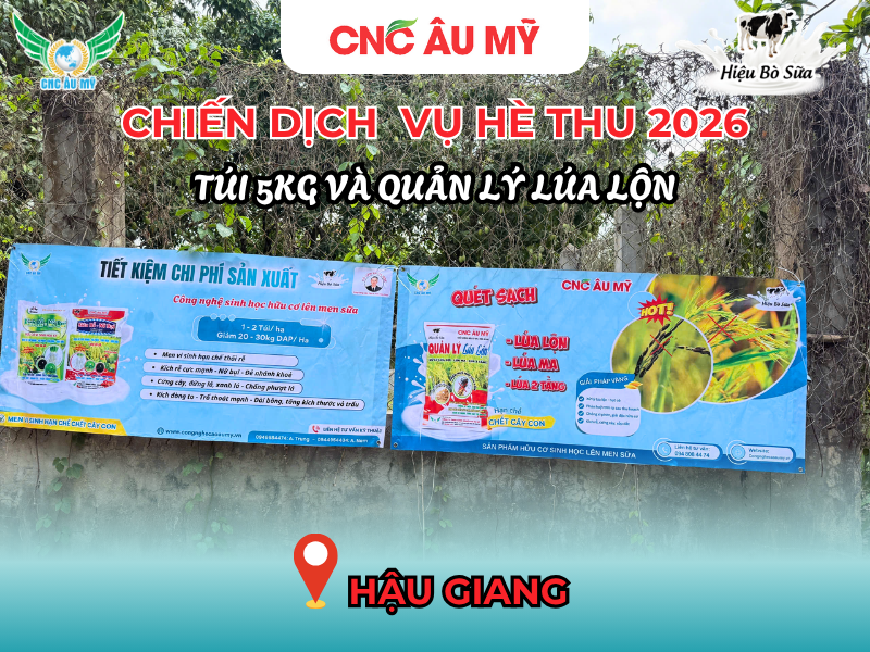 CHIẾN DỊCH BANNER QUẢN LÝ LÚA LỘN & TÚI 5KG VỤ HÈ THU 2026