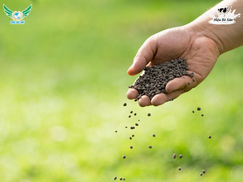 PHÂN HỮU CƠ LÀ GÌ? PHÂN LOẠI, TÁC DỤNG VÀ HƯỚNG DẪN SỬ DỤNG