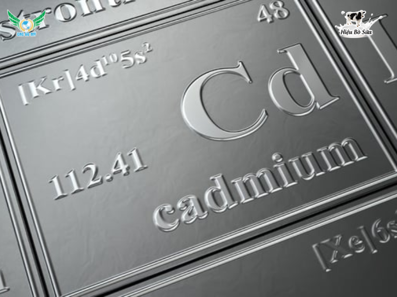 Cadimi trong sầu riêng? Tác hại và biện pháp hạn chế cadimi trong trái