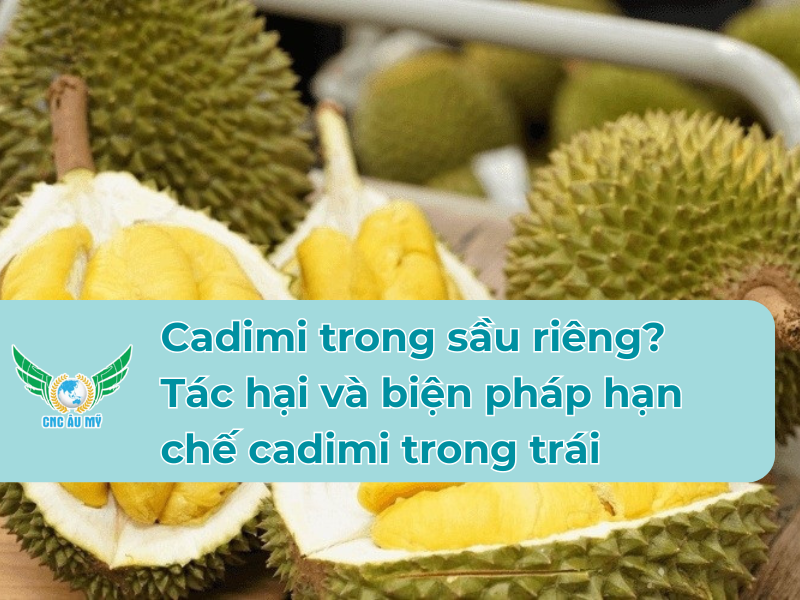 Cadimi trong sầu riêng? Tác hại và biện pháp hạn chế cadimi trong trái