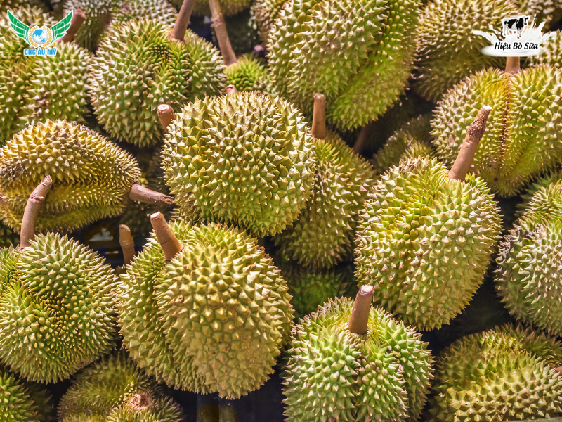 8 LỢI ÍCH KHI SỬ DỤNG PHÂN HỮU CƠ 