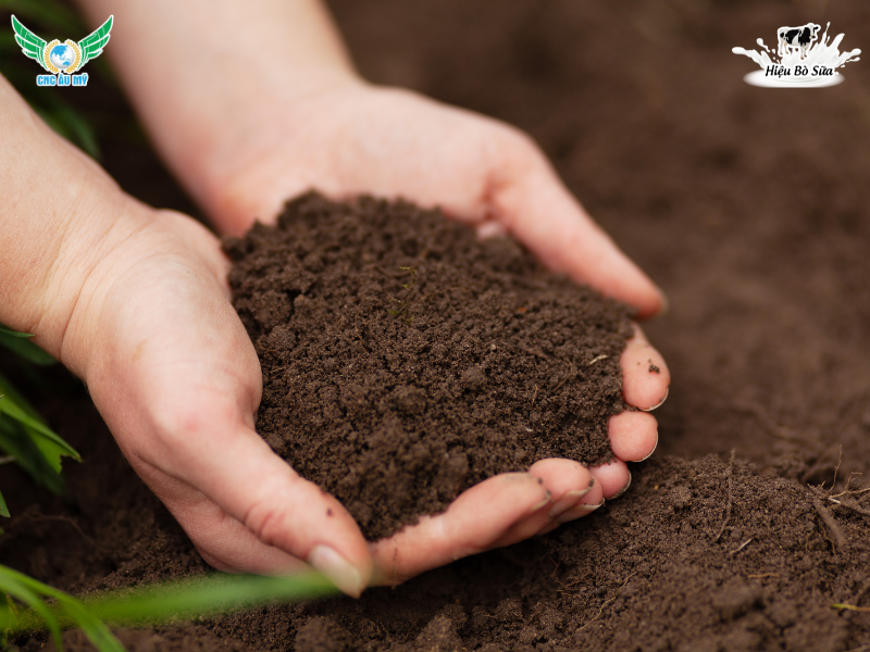 PHÂN HỮU CƠ KHOÁNG LÀ GÌ? LỢI ÍCH VÀ CÁCH SỬ DỤNG