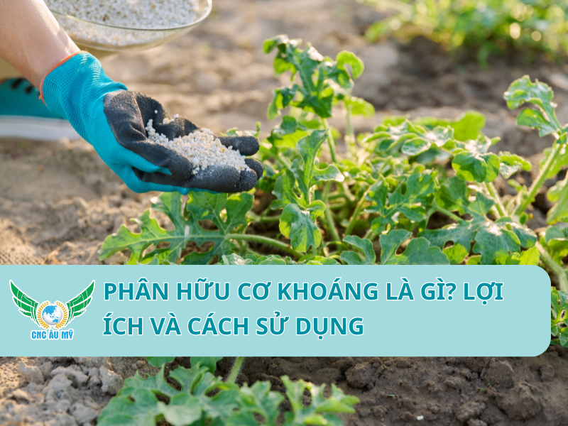 PHÂN HỮU CƠ KHOÁNG LÀ GÌ? LỢI ÍCH VÀ CÁCH SỬ DỤNG