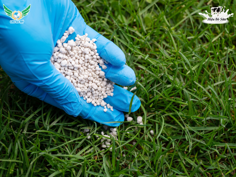 Phân NPK là phân hữu cơ hay vô cơ? Hiểu đúng để bón hiệu quả