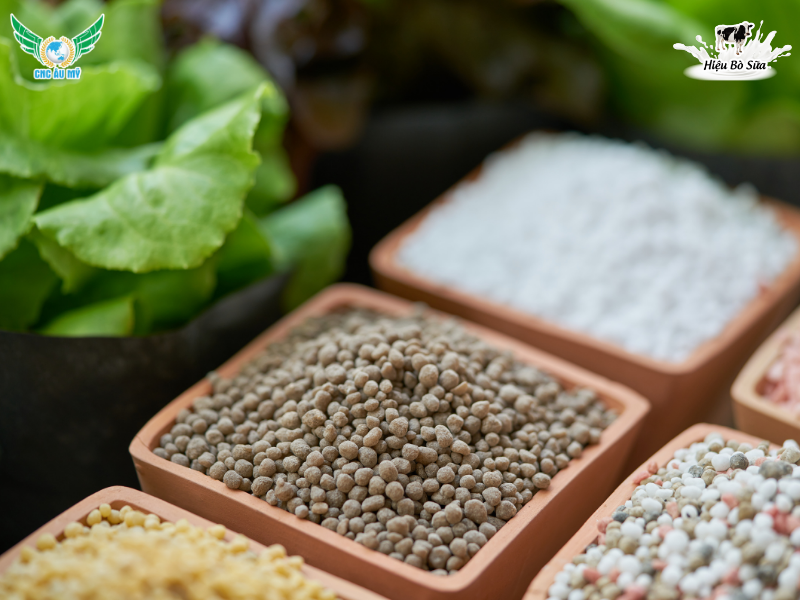 Phân NPK là phân hữu cơ hay vô cơ? Hiểu đúng để bón hiệu quả