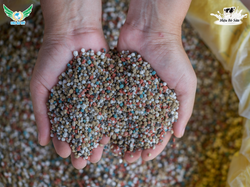 Phân NPK là phân hữu cơ hay vô cơ? Hiểu đúng để bón hiệu quả