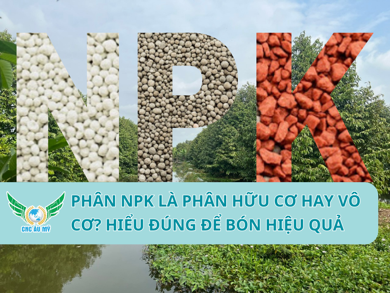 Phân NPK là phân hữu cơ hay vô cơ? Hiểu đúng để bón hiệu quả