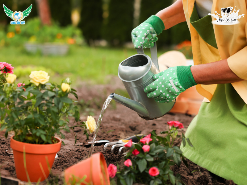 PHÂN BÓN HỮU CƠ SINH HỌC: KHÁI NIỆM, PHÂN LOẠI VÀ CÁCH SỬ DỤNG