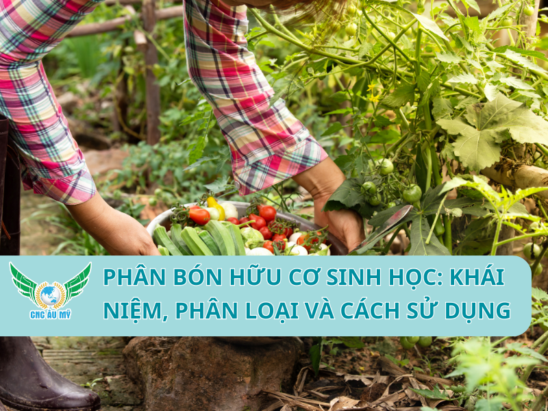 PHÂN BÓN HỮU CƠ SINH HỌC: KHÁI NIỆM, PHÂN LOẠI VÀ CÁCH SỬ DỤNG
