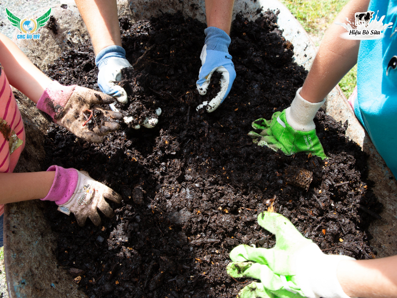 Phân bón hữu cơ truyền thống? Phân loại, vai trò và lợi ích đối với cây trồng