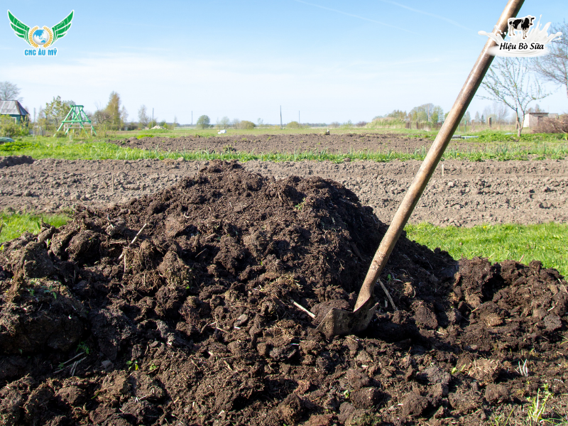 Phân bón hữu cơ truyền thống? Phân loại, vai trò và lợi ích đối với cây trồng