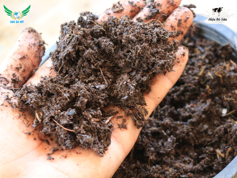 Phân bón hữu cơ truyền thống? Phân loại, vai trò và lợi ích đối với cây trồng