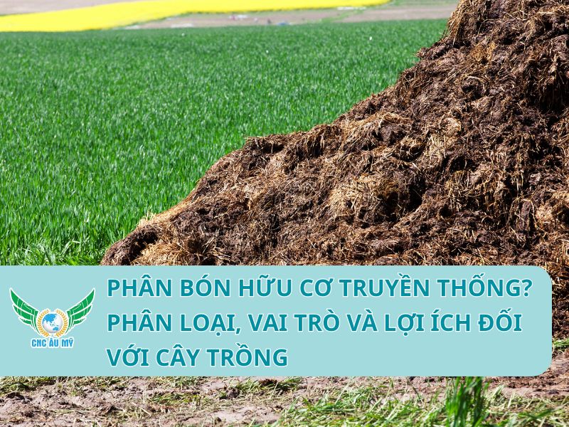 Phân bón hữu cơ truyền thống? Phân loại, vai trò và lợi ích đối với cây trồng