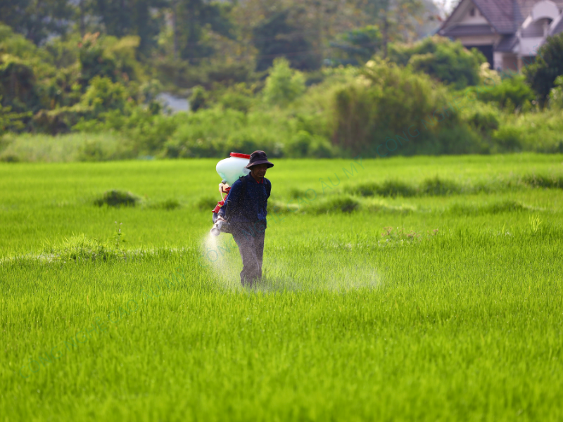 PHÂN BÓN HỮU CƠ VI SINH VÀ NHỮNG ĐIỀU BÀ CON CẦN BIẾT