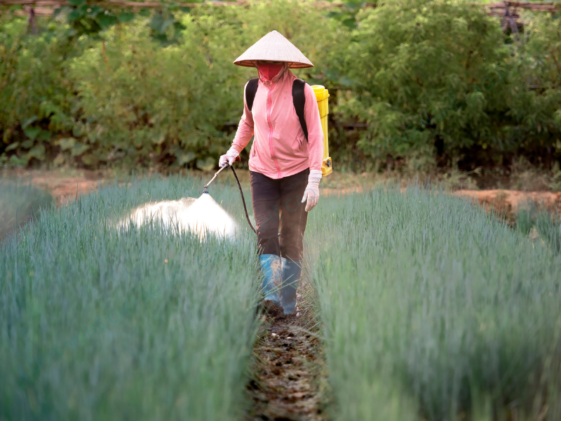 PHÂN BÓN HỮU CƠ VI SINH VÀ NHỮNG ĐIỀU BÀ CON CẦN BIẾT