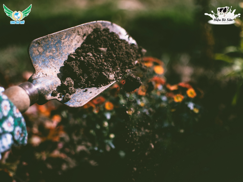 Phân bón là gì? Phân loại và tác dụng của các loại phân bón