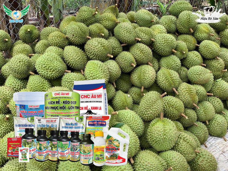 Phân bón là gì? Phân loại và tác dụng của các loại phân bón