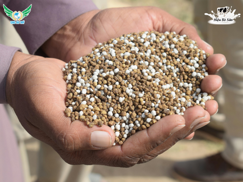 Phân bón là gì? Phân loại và tác dụng của các loại phân bón