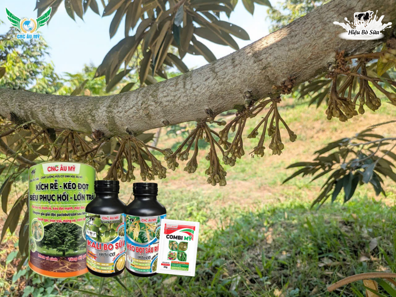 Các loại phân bón sử dụng phổ biến trên thị trường hiện nay 