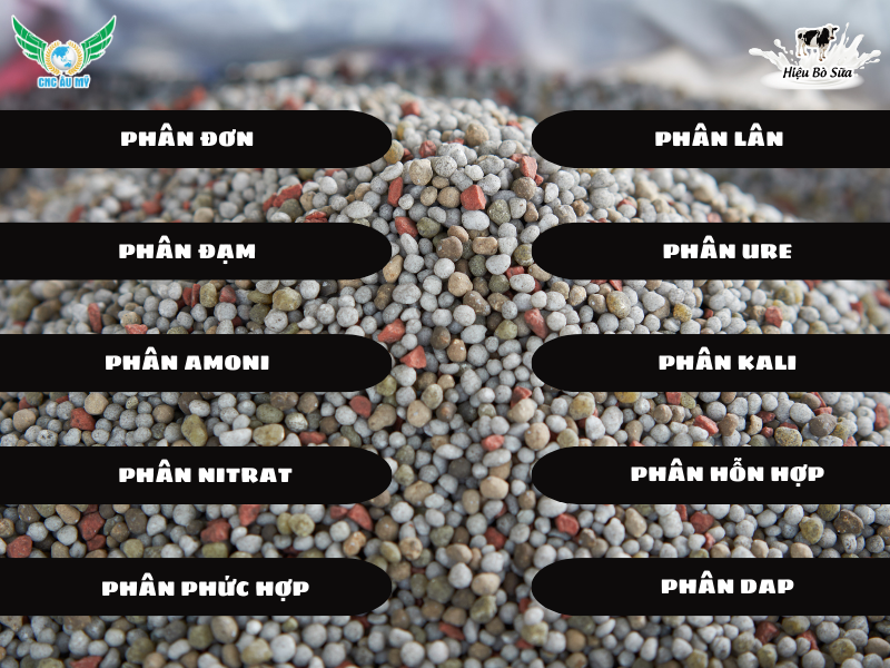 Các loại phân bón sử dụng phổ biến trên thị trường hiện nay 