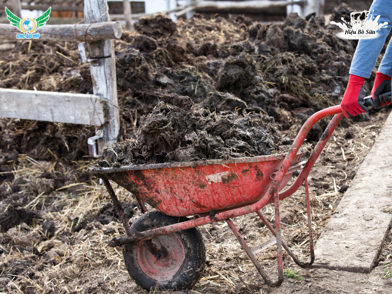 PHÂN HỮU CƠ LÀ GÌ? PHÂN LOẠI, TÁC DỤNG VÀ HƯỚNG DẪN SỬ DỤNG