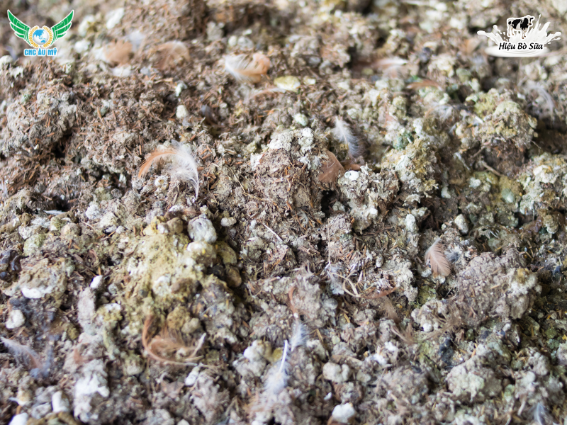 PHÂN HỮU CƠ LÀ GÌ? PHÂN LOẠI, TÁC DỤNG VÀ HƯỚNG DẪN SỬ DỤNG