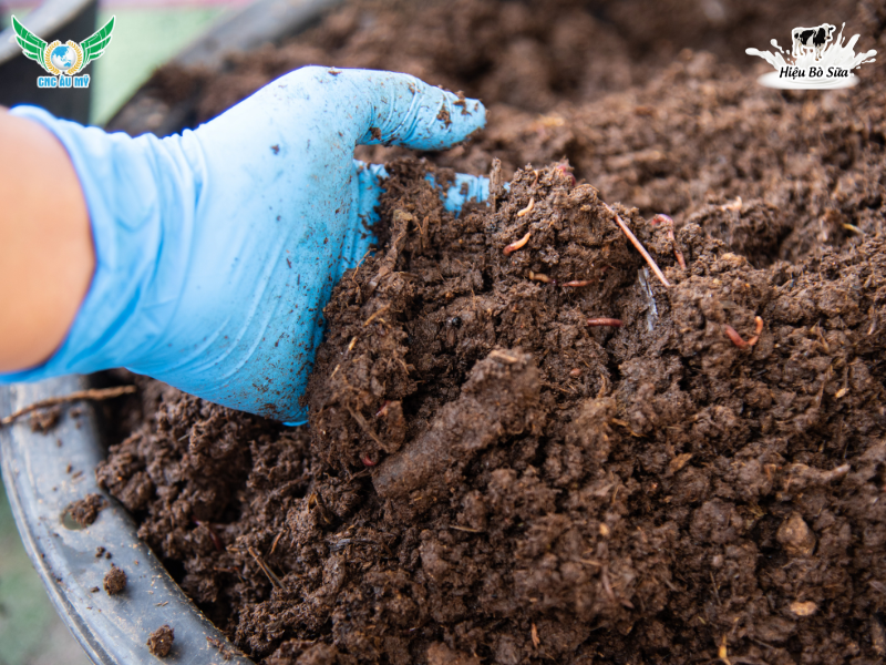 PHÂN HỮU CƠ LÀ GÌ? PHÂN LOẠI, TÁC DỤNG VÀ HƯỚNG DẪN SỬ DỤNG