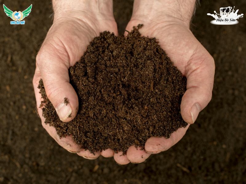 PHÂN HỮU CƠ LÀ GÌ? PHÂN LOẠI, TÁC DỤNG VÀ HƯỚNG DẪN SỬ DỤNG