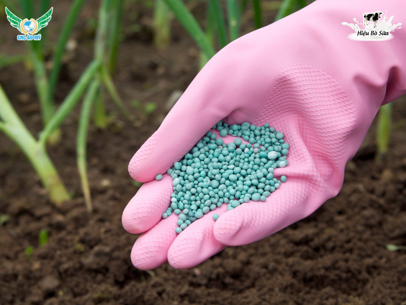 Các loại phân bón sử dụng phổ biến trên thị trường hiện nay 