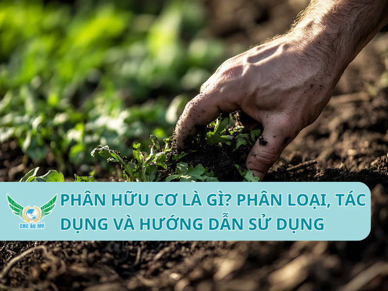 PHÂN HỮU CƠ LÀ GÌ? PHÂN LOẠI, TÁC DỤNG VÀ HƯỚNG DẪN SỬ DỤNG