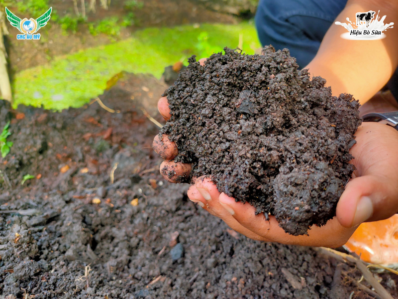 PHÂN HỮU CƠ LÀ GÌ? PHÂN LOẠI, TÁC DỤNG VÀ HƯỚNG DẪN SỬ DỤNG