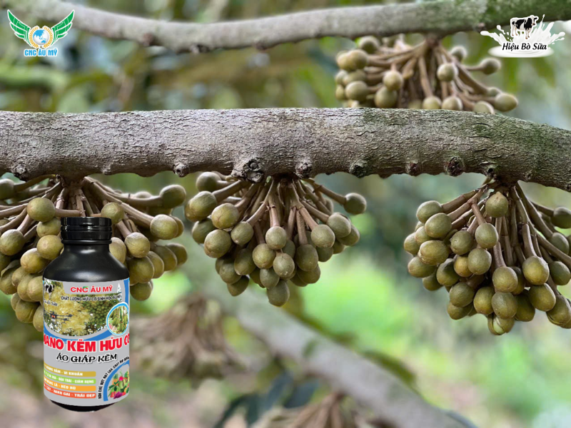 TÁC DỤNG CỦA PHÂN BÓN HỮU CƠ ĐỐI VỚI CÂY TRỒNG VÀ ĐẤT CANH TÁC 