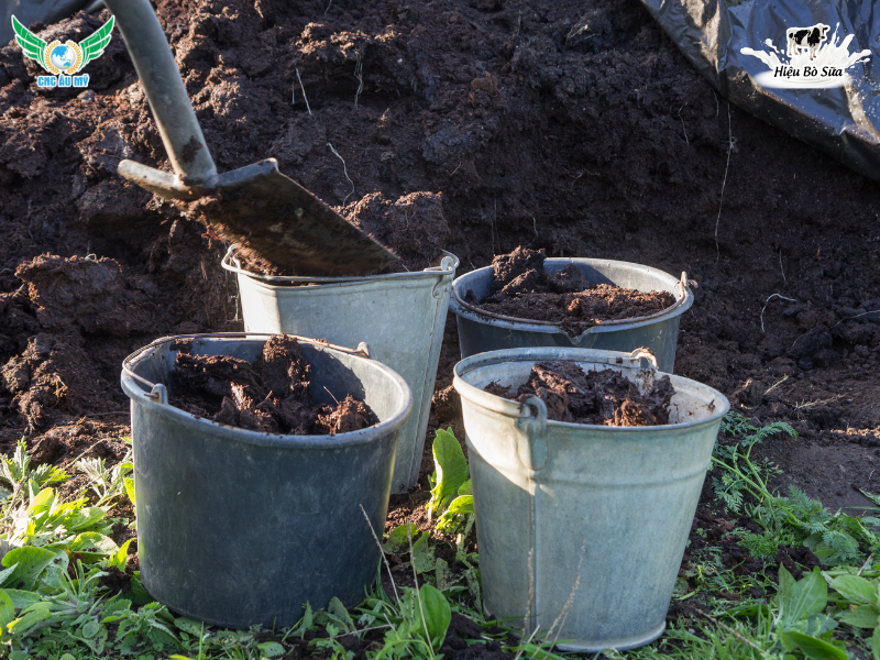 Thành phần phân hữu cơ gồm những gì? Vai trò và ý nghĩa trong canh tác nông nghiệp
