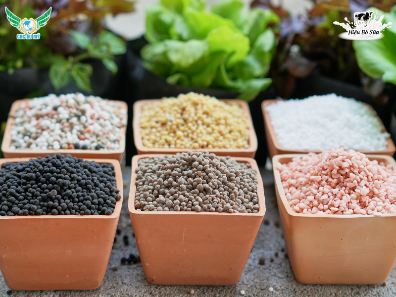 Thành phần phân hữu cơ gồm những gì? Vai trò và ý nghĩa trong canh tác nông nghiệp