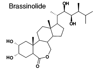 Brassinolide