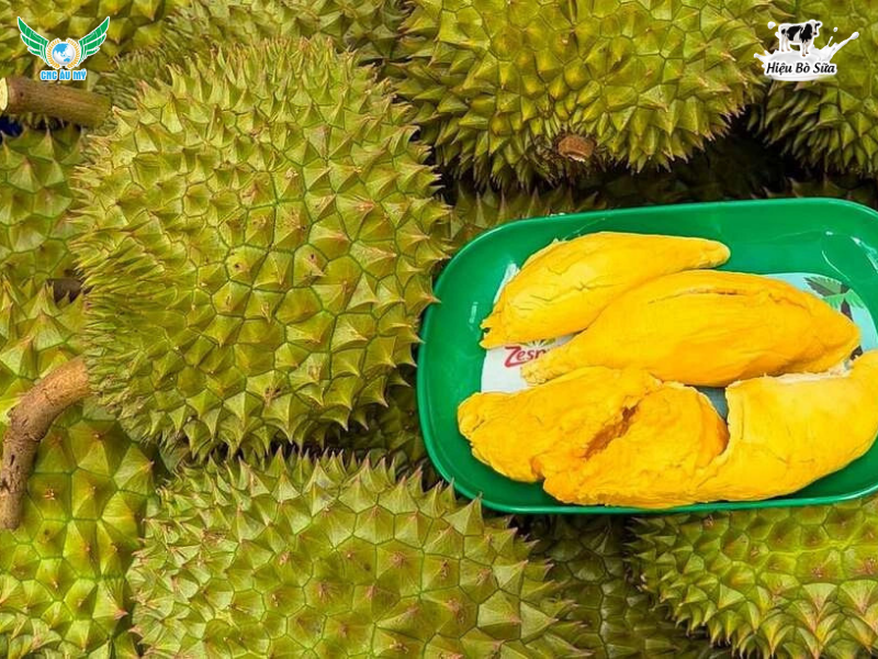 SẦU RIÊNG RI6: NGUỒN GỐC, ĐẶC ĐIỂM, GIÁ CẢ VÀ BÍ QUYẾT CHỌN NGON CHUẨN VỊ