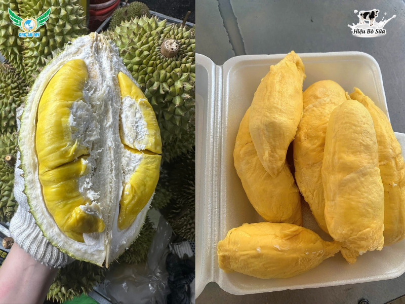 SẦU RIÊNG RI6: NGUỒN GỐC, ĐẶC ĐIỂM, GIÁ CẢ VÀ BÍ QUYẾT CHỌN NGON CHUẨN VỊ